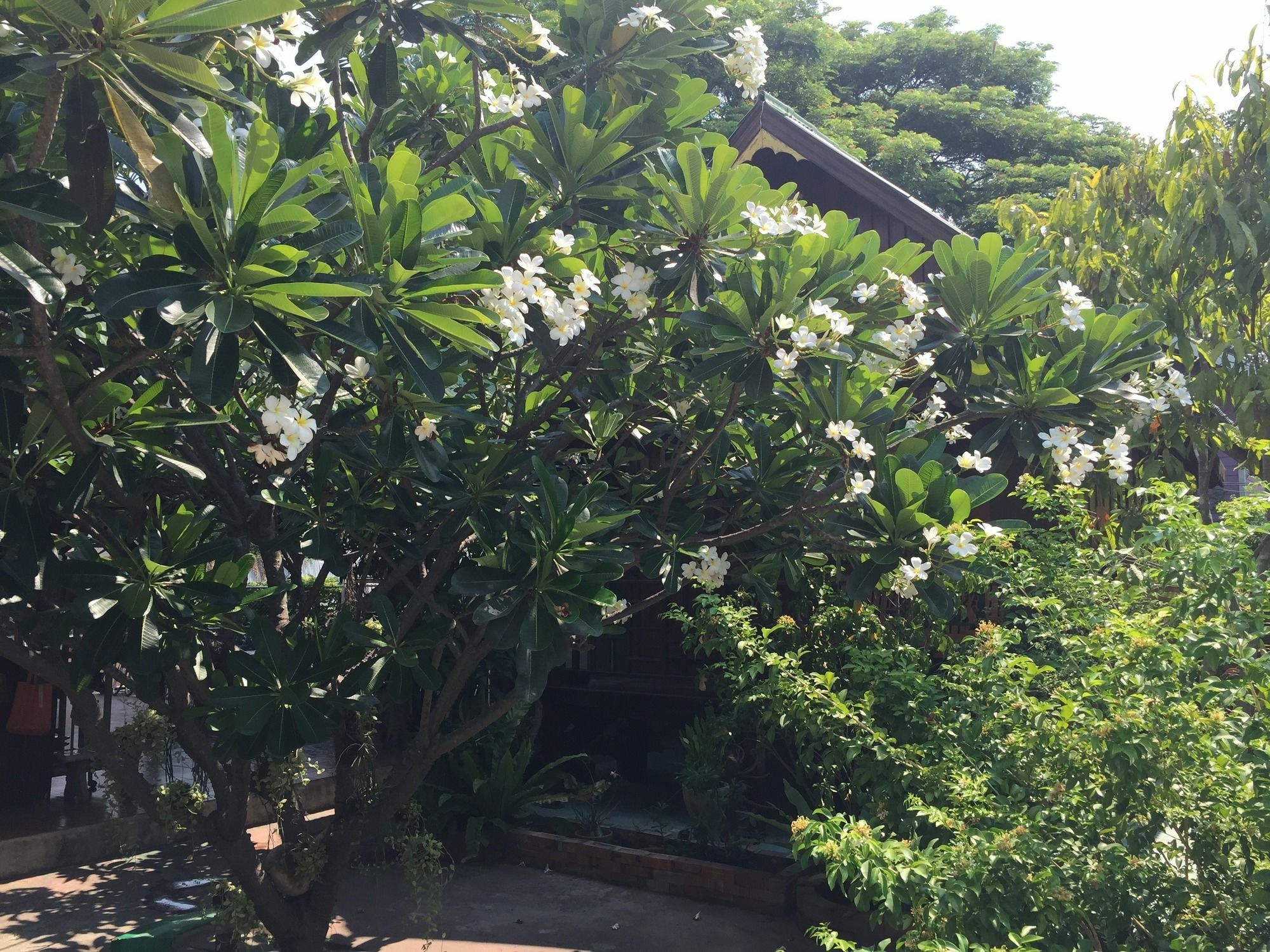 Baan Kong Homestay Phra Nakhon Si Ayutthaya Buitenkant foto